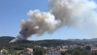 Bursa ve Adana'da orman yangını