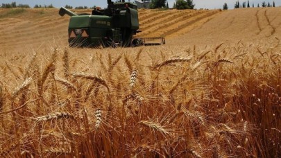 Dünyanın en çok buğday ithal eden ülkesi Türkiye oldu: Yunanistan'dan ithalat yüzde 632 arttı
