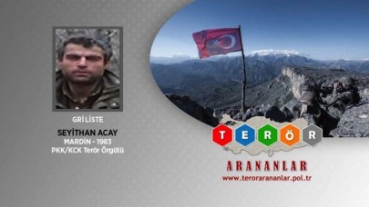 Gri listedeki PKK'lı Seyithan Acay öldürüldü