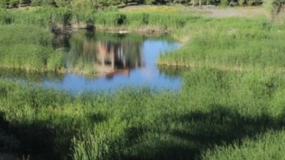 Hakkari'de gölette kadın cesedi bulundu
