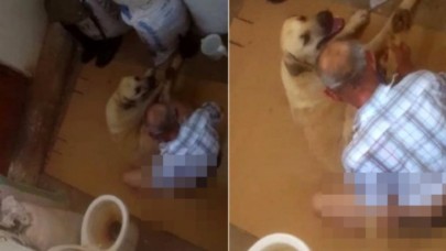 Hortumla bağladığı köpeğe tecavüz eden 71 yaşındaki sapık,  para karşılığı serbest kaldı