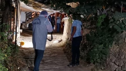 Kamalı üvey amca dehşeti: Ali Kılınç öldü