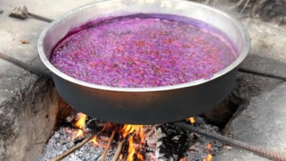 Kanser hücrelerini vücuttan uzaklaştırıyor! Fiyatı altınla yarışıyor