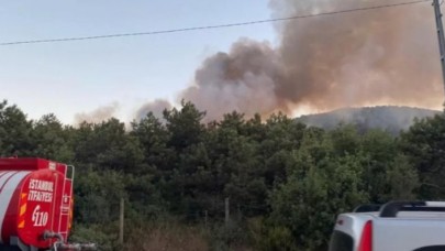 Kayışdağı ormanında yangın çıktı