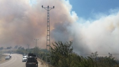 Kozan'da orman yangını köylere sıçradı: Evler alev aldı