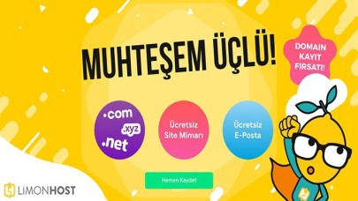 LimonHost ile doğru domaini kolayca seçin