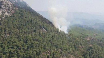 Marmaris'te orman yangını