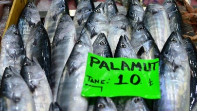 Müjde: Palamut 10 liradan tezgahlarda