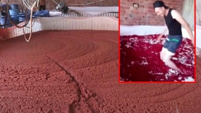 Salça üretim tesisindeki mide bulandıran görüntüleri bakanlık affetmedi