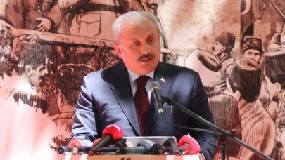 Şentop: Adana'ya işgale gelenler şimdi nerede?