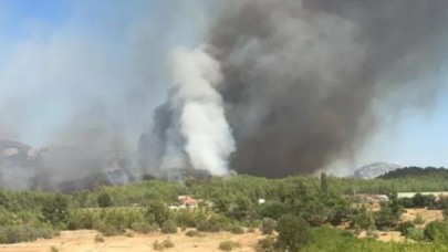 Serik'te orman yangını