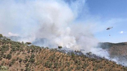 Şimdi de Milas'ta orman yanıyor