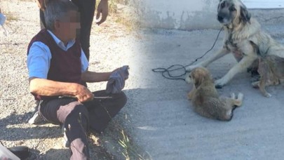 Yaşlı adam köpeğe tecavüz ederken yakalandı