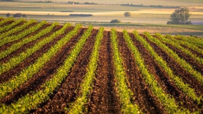 Başvuran herkese arazi verilecek: 60 dönüme kadar!