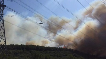 Çanakkale'de orman yangını