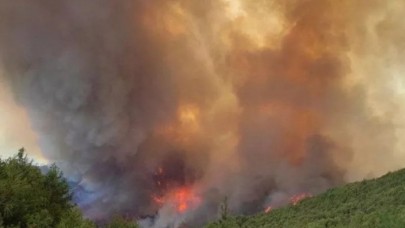 Hatay'da orman yangını: 1 kişi gözaltına alındı