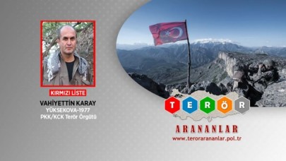 Kırmızı kategorideki PKK'lı terörist Vahiyettin Karay öldürüldü
