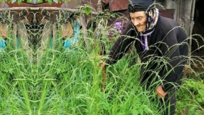 Köyüne küsen Fadime Nine 36 yıldır tek başına yaşıyor: Nedeni ise çok acıklı!