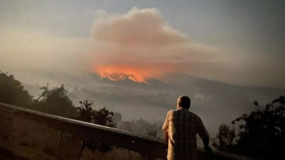 Nallıhan'daki orman yangını kontrol altına alındı