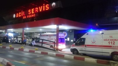 Budama yaparken ağaçtan düştü: Zeynel Anık öldü