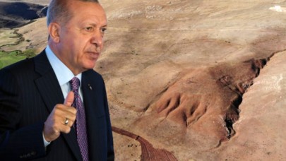 Çiftçilerin 'cin parası' bulduğu alan Cumhurbaşkanı Erdoğan'ın imzasıyla koruma altına alındı