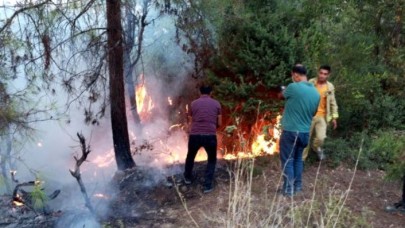 Hatay'dan sonra Osmaniye ve Kahramanmaraş'ta da 4 ayrı noktada yangın: Evlere sıçradı