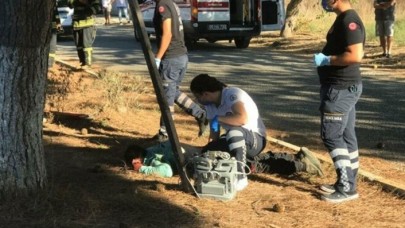 Kozalak toplarken yandı: Yasin Taş öldü