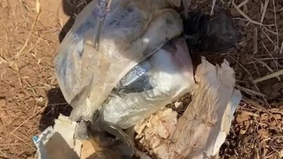 Şanlıurfa'da yol kenarında bomba düzeneği bulundu