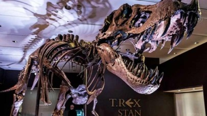 T-rex fosili 32 milyon dolara satıldı