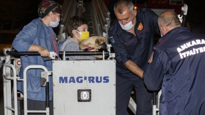 Çankaya'da yangın: Mustafa Etyemez öldü