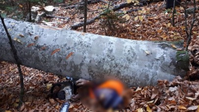 Bolu'da korkunç olay: Rasim Seyit öldü