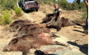 Domuz avcısı İzzettin Gülbeyaz,  av kazasında hayatını kaybetti