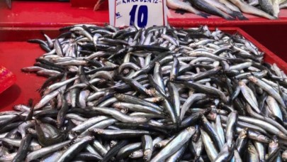 Hamsi yüzleri güldürüyor