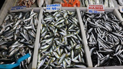 Kuyumcu değil,  balıkçı tezgahı: Hamsi kavağa çıktı!