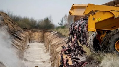 Toprağın altı yetmedi: Milyonlarcasının yakılması planlanıyor