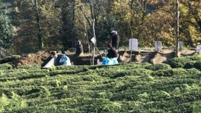 Aynı aileden 5 kişi 1 ay içinde koronavirüsten öldü!