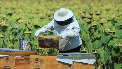 Bakanlıktan arıcılık,  ipek böcekçiliği,  kaz ve hindi yetiştiriciliği yatırımlarına destek