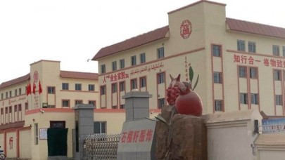 Çin'den Müslümanlara karşı savaşta yeni cephe: Yüz binlerce Uygur Türkü'nü zorla pamuk tarlalarında çalıştırıyor