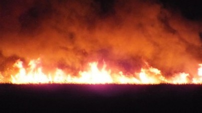 Hatay’da 4 ayrı noktada yangın
