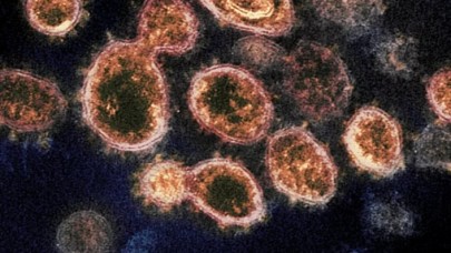 İngiliz bilim insanları: Kovid-19 mutasyonu orijinalinden çok daha tehlikeli