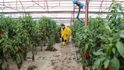 Kaş'ta kuvvetli sağanak sera alanlarını vurdu