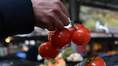 Rusya,  Azerbaycan’daki 12 işletmeden domates ithalatına izin verdi