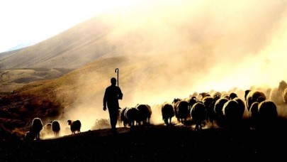 Üzerine kaya düşen çoban Adil Günay öldü