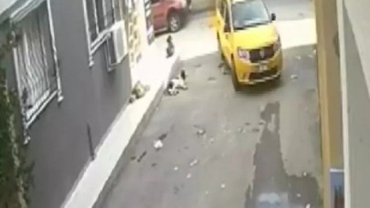 Yavru köpeği ezdi,  arkasına bile bakmadı!