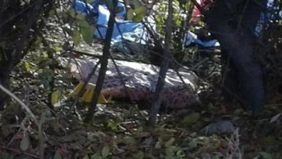 Yol kenarında bebek cesedi bulundu