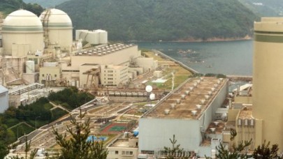 Fukuşima Nükleer Enerji Santrali'nde ölümcül seviyede radyasyon tespit edildi