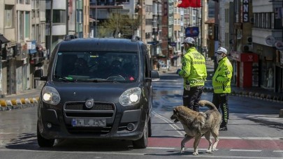 Hafta sonu yasağı gündüz kaldırılabilir,  okullar ve lokantalar açılabilir