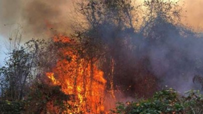 Karadeniz alev alev: 4 ilde 23 yerde yangın çıktı