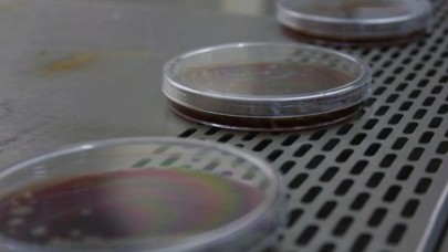 Maskelerdeki incelemelerde korkutan sonuç! Bunu yapıyorsanız dikkat