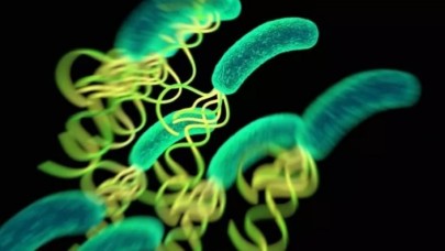 Türk hekimler "Kovid-19 ve helikobakter" ilişkisini keşfetti